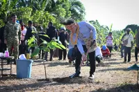 Wapres Tanam Bibit Kakao di Manokwari Selatan, Dorong Papua Barat Sentra Nasional