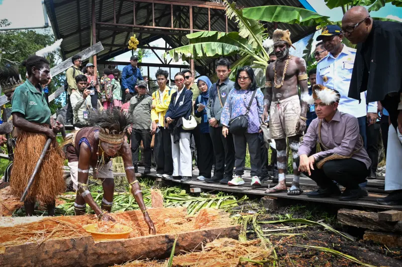 Wapres Gibran Tinjau Sekolah Sagu Asmat,  Hilirisasi Pangan Lokal Papua