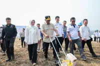 Dukung Swasembada Pangan, Gubernur Andra Soni Panen Raya Padi Organik PS-08