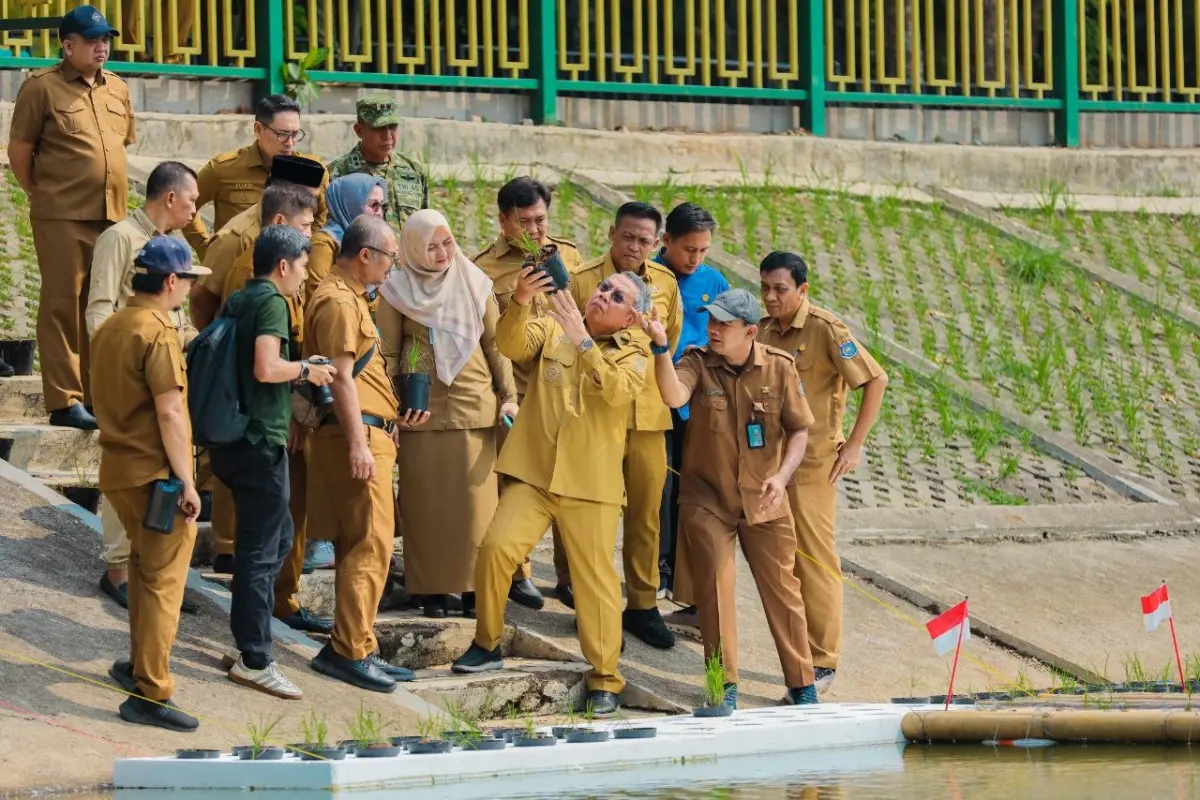 Tanam Padi Apung Dijajal di Tandon Ciater Tangsel