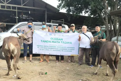 Aksi Nyata Baznas  Tangsel, Penderita Stunting Jadi Target Pembagian Daging Kurban