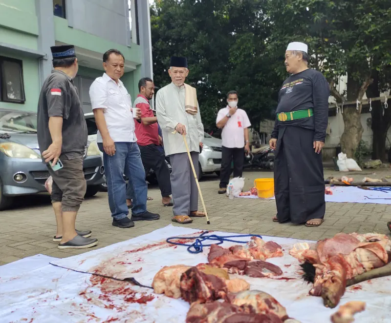 Berkah Idul Adha, MUI Tangsel Sembelih Sapi Seberat Setengah Ton Lebih