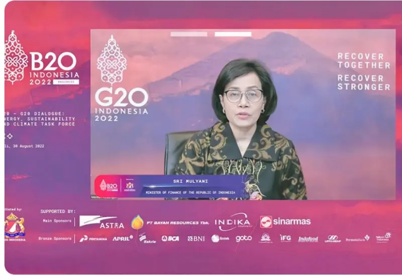 Sri Mulyani Sebut Indonesia Rentan Akibat Perubahan Iklim