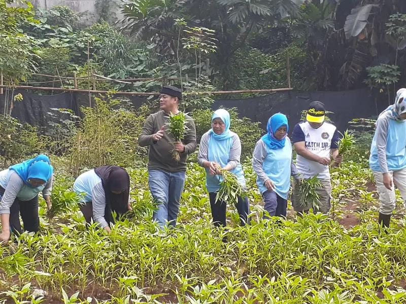 Begini Aksi Tekan Inflasi Kota Tangsel, Tanam Sayuran Hingga Iklan Lele