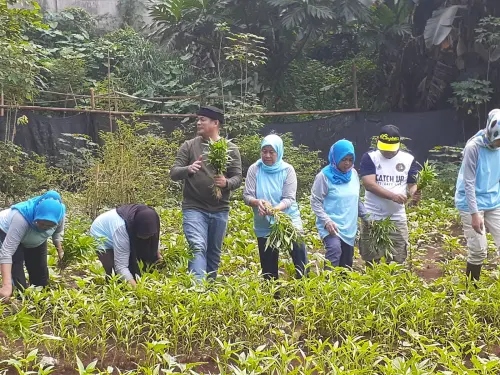 Begini Aksi Tekan Inflasi Kota Tangsel, Tanam Sayuran Hingga Iklan Lele