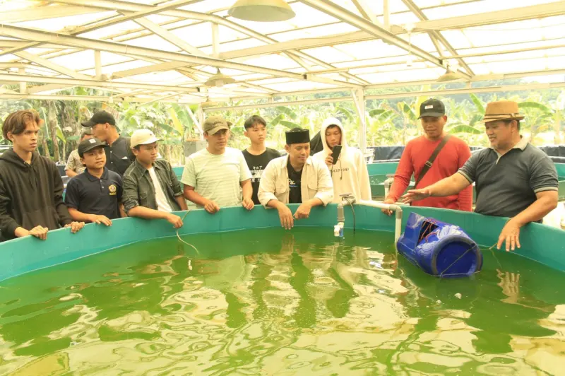 DP3K Kota Tangerang Selatan Salurkan Bibit Ikan Lele, Berantas Stunting