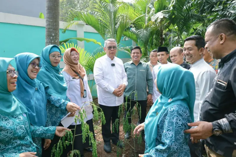 Kenali Manfaat Daun Kelor, Banten Tanam Seribu Pohon