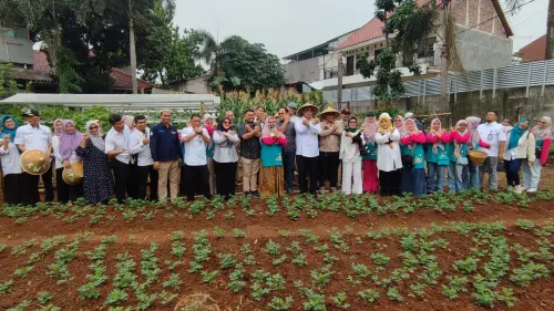 Wali Kota Tangsel Hadiri Panen Jagung Pulut Binaan IKPP Tangerang