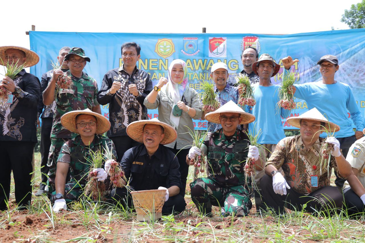 Wujudkan Kemandirian Pangan, Dinas Ketahanan Pangan Pertanian dan Perikanan Tangsel  Panen Bawang Merah 