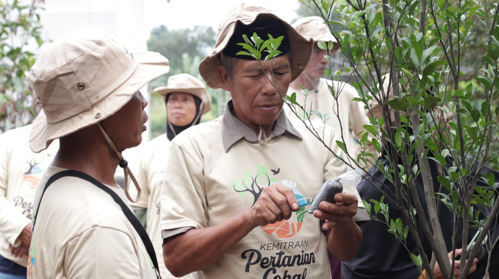 Sinar Mas Land Latih Petani Bogor Kembangkan Tanaman Vegetatif