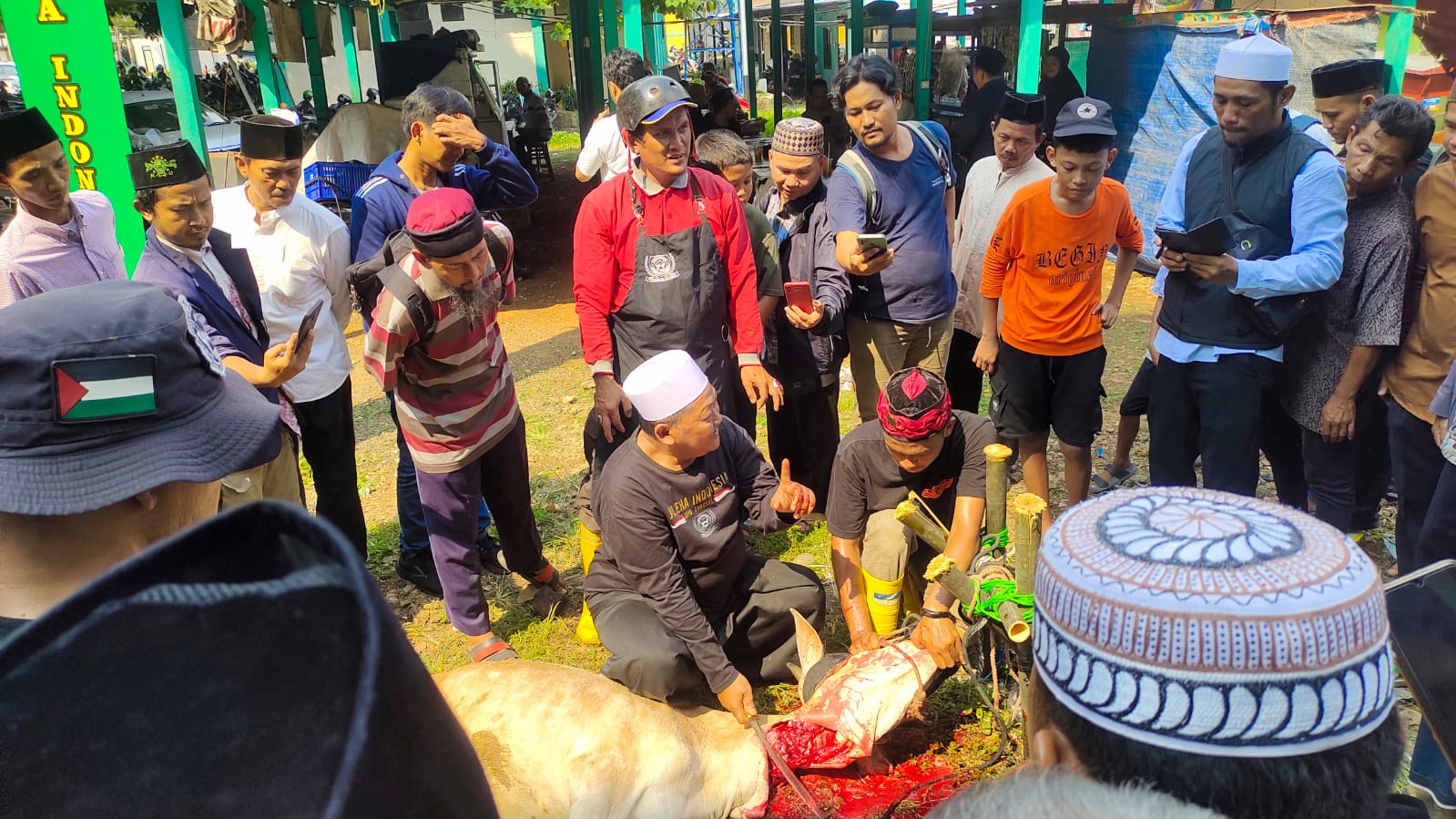 Jelang Idul Adha, MUI Tangsel Kembali Latih Cara Sembelih Hewan Kurban Secara SyariatÂ 