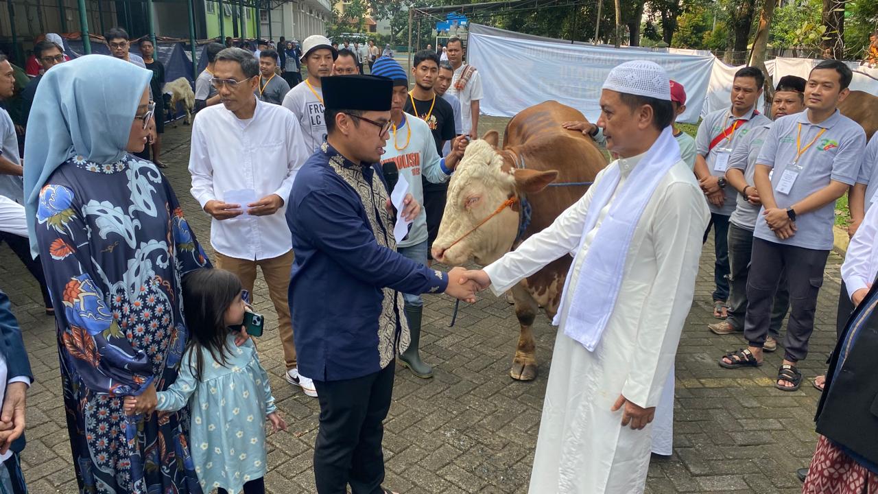 Pilar Sembelih Sapi Seberat 900 Kg, Al-Azhar, Salurkan 143 kambing, 14 Sapi Bagi Masyarakat