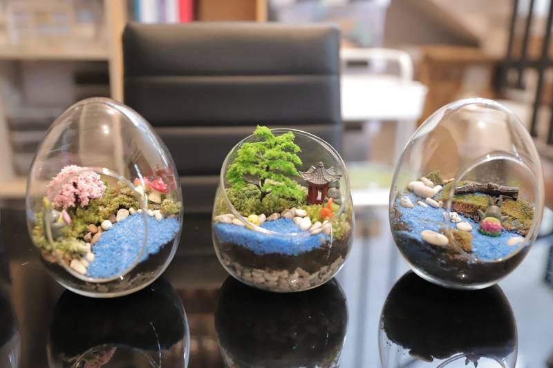 Teramori Jadikan Terarium Peluang Usaha