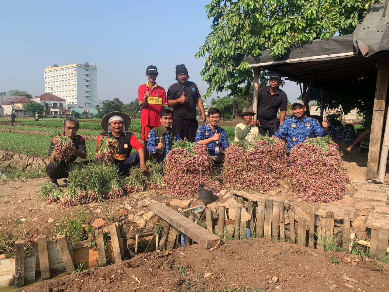 Petani di Kota Tangerang Panen 600 Kilogram Bawang Merah