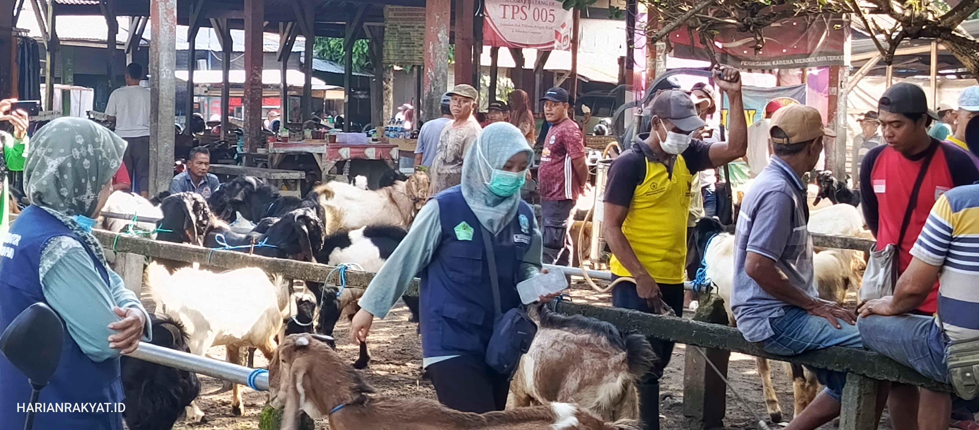 Marak Penyakit Mulut dan Kuku, DKPP Kota Kediri Sidak Pasar Hewan
