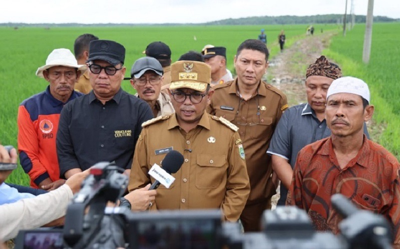 Program Bang Andra, Bangun Jalan Usaha Tani Untuk Lima Tahun Kedepan