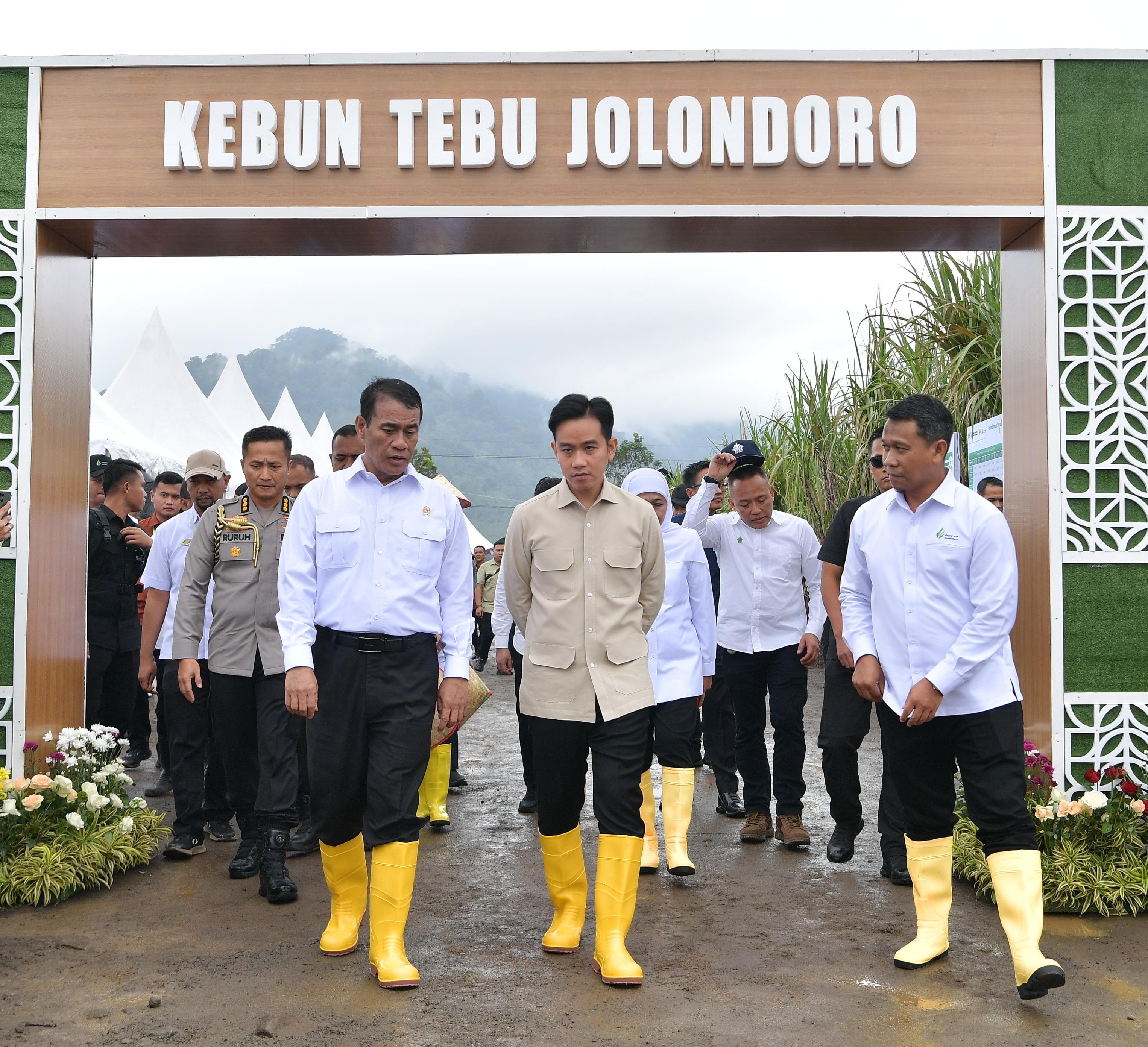 Dukung Swasembada Gula Nasional, Wapres Hadiri  Panen Raya Tebu di Banyuwangi