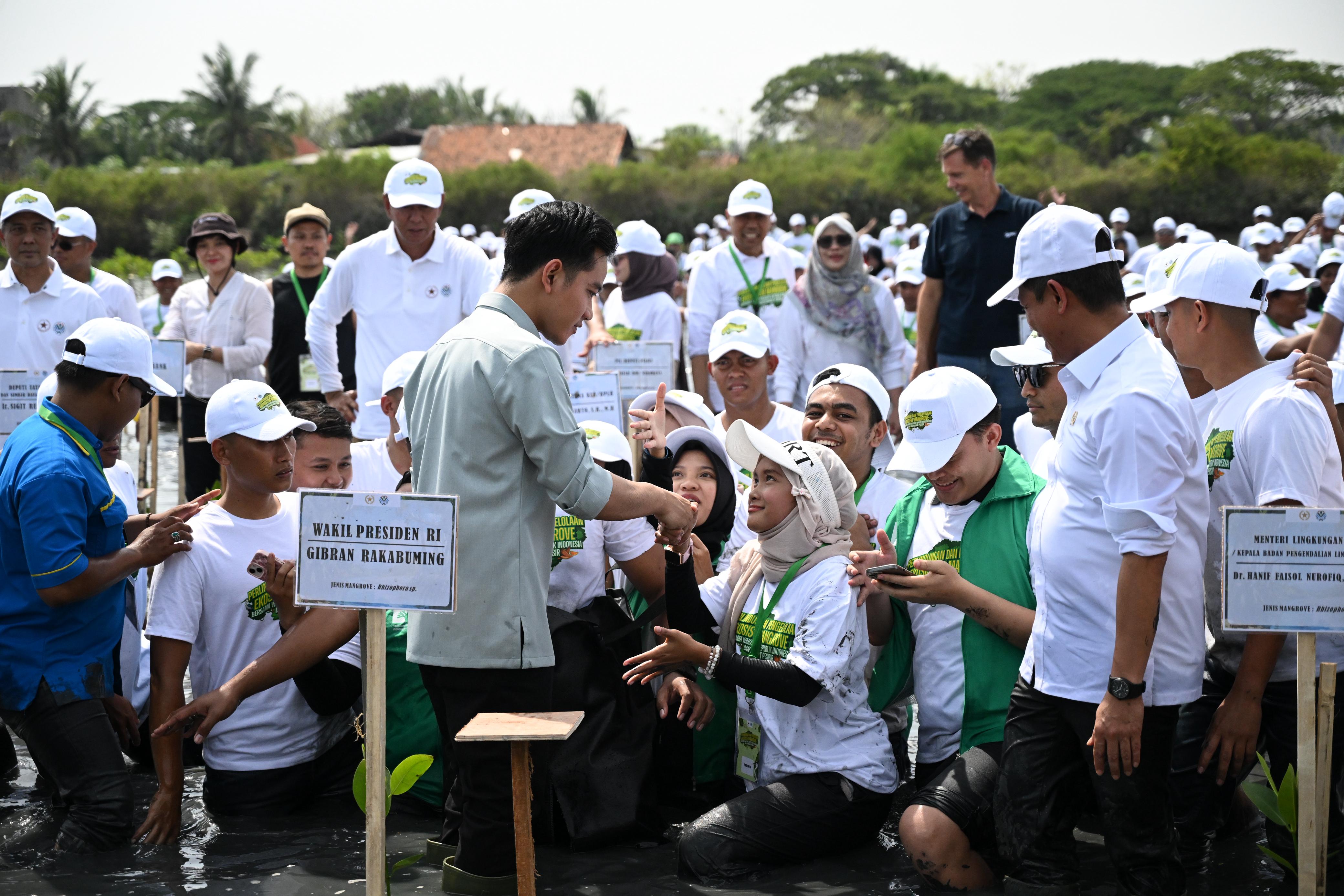 Tanam Mangrove di Banten, Wapres Dorong Penguatan Ekosistem Pesisir Berkelanjutan