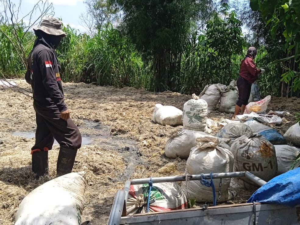 Penjemuran Bulu Ayam di Kediri Timbulkan Bau Tak Sedap, Aktivis Lingkungan: Pengguna Jalan Lewat Sampe Muntah
