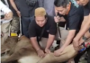 Tim Kesehatan Tangsel, Ingatkan Warga Jeli Memilih Hewan Kurban