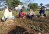 Sambangi Petani Bawang Merah, Kapolsek Mojoroto Dengar keluhan Pupuk dan Elpiji 3 kg