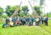 Penanaman Pohon di Kampung Keranggan, Perkuat Ekosistem Hijau Tangsel