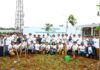 Bulan Menanam Pohon Nasional, Pemkot Tangsel Bersama PT Cinere Serpong Jaya Tanam Pohon Tabebuya
