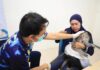 DKP Kota Tangerang Berikan Steril dan Vaksin Rabies Gratis, Begini Caranya