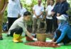 Hadiri Panen Raya Kopi Ijen, Wapres Sebut Komodiatas Kopi Indonesia Mampu Cukupi Pasar Global