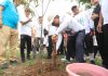 Pemkot Tangerang Bagikan Bibit Pohon dan Tanaman untuk Penghijauan