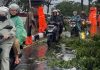 Rudy Susmanto Gerak Cepat Tangani Bencana